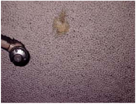 吹付け石綿の天井断熱材